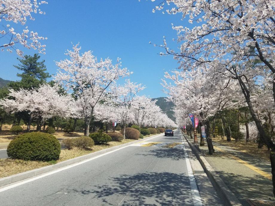 풍경사진