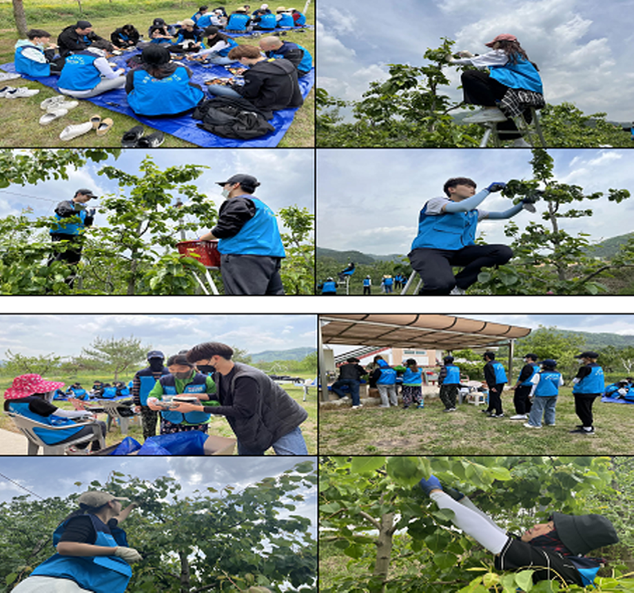 🍎연기예술학과 학생들이 참여한 꽃댕이 농원 농가 봉사활동🍐